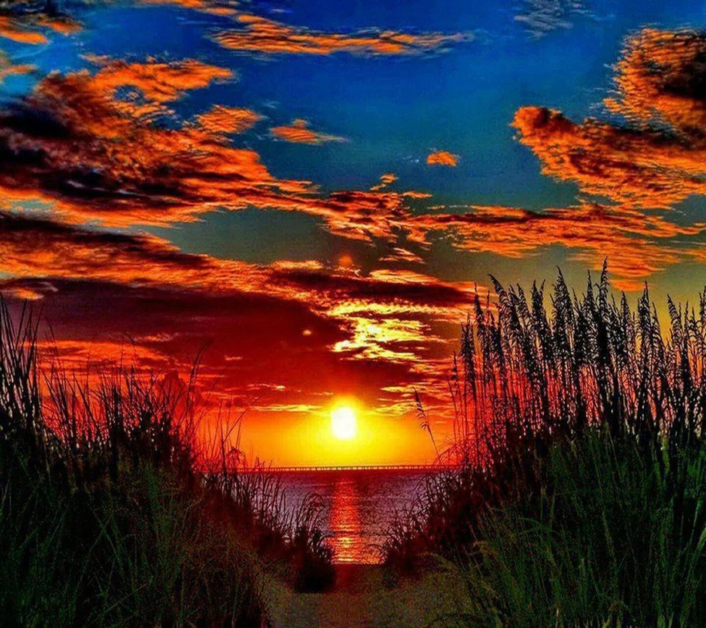 Двое встречают рассвет. Вдохновение природой. Красивый закат солнца. Новая заря океан. Любви прекрасные мгновения.