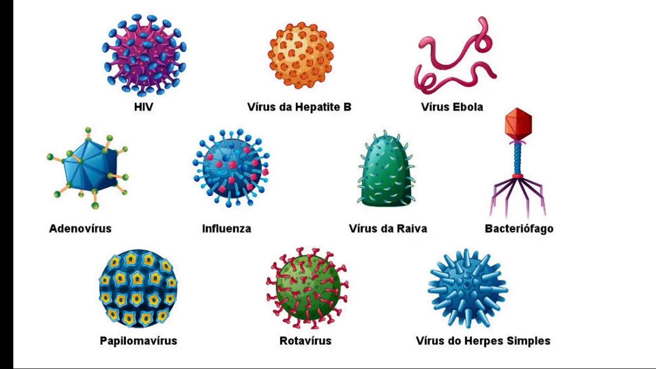 Вирусы чаще всего бывают. Вирусы чаще всего бывают. Компьютерные вирусы. Вирусы чаще всего бывают. Компьютерные вирусы.