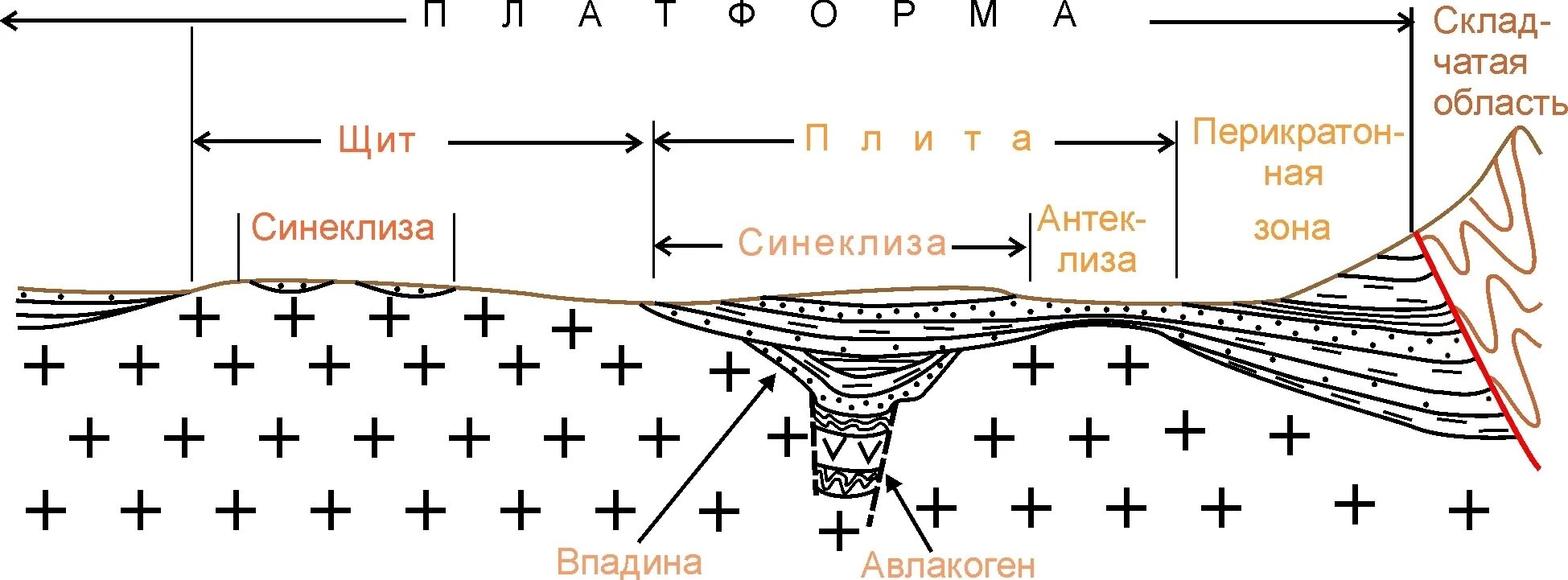 Щит в географии это. Схема строения платформы. Строение платформ Геология. Платформа Геология схема. Антеклиза синеклиза авлакоген.