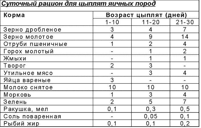 Какой творог можно давать цыплятам. Рацион кормления цыплят таблица. Таблица кормления суточных цыплят. Таблица кормления цыплят несушек. Рацион кормления цыплят кур несушек.