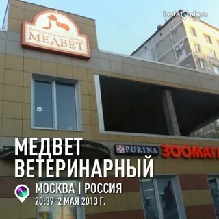 Медвет домодедово