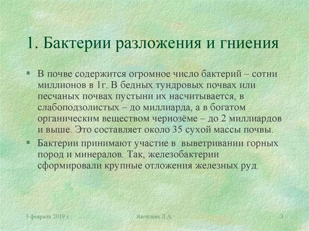Микроорганизмы живущие в почве. Почвенные бактерии гниения являются. Почвенные бактерии гниения являются. Почвенные бактерии гниения являются. Почвенные микробы.