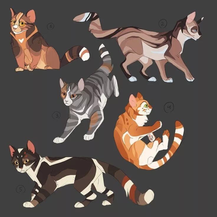 Коты воители создать ос. Коты воители адопты. коты воители референс. коты воители референсы. адопты для персонажей коты воители.