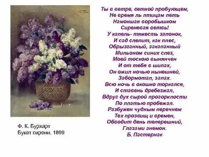 Пастернак сирень
