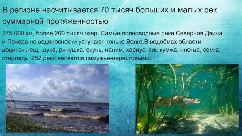 Озёра архангельской области презентация. Годовой сток реки это. Водоносность реки определение. Водоносность реки. Водоносность реки северная двина.