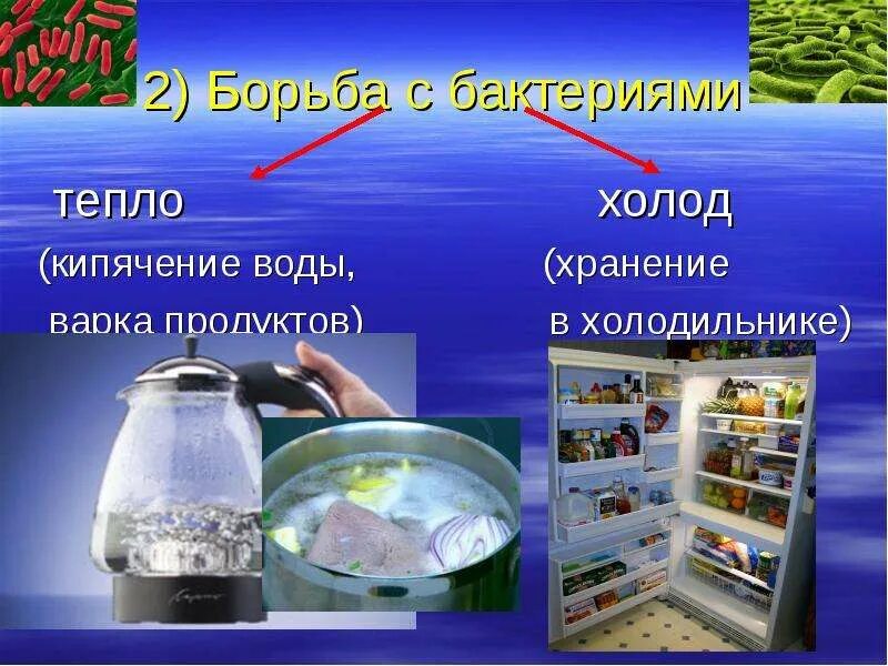 Как защитить продукты питания от бактерий. Способы защиты продуктов от бактерий. Способы защиты продуктов питания от бактерий. Способы сохранения продуктов от порчи. Способы сохранения пищевых продуктов от бактерий.