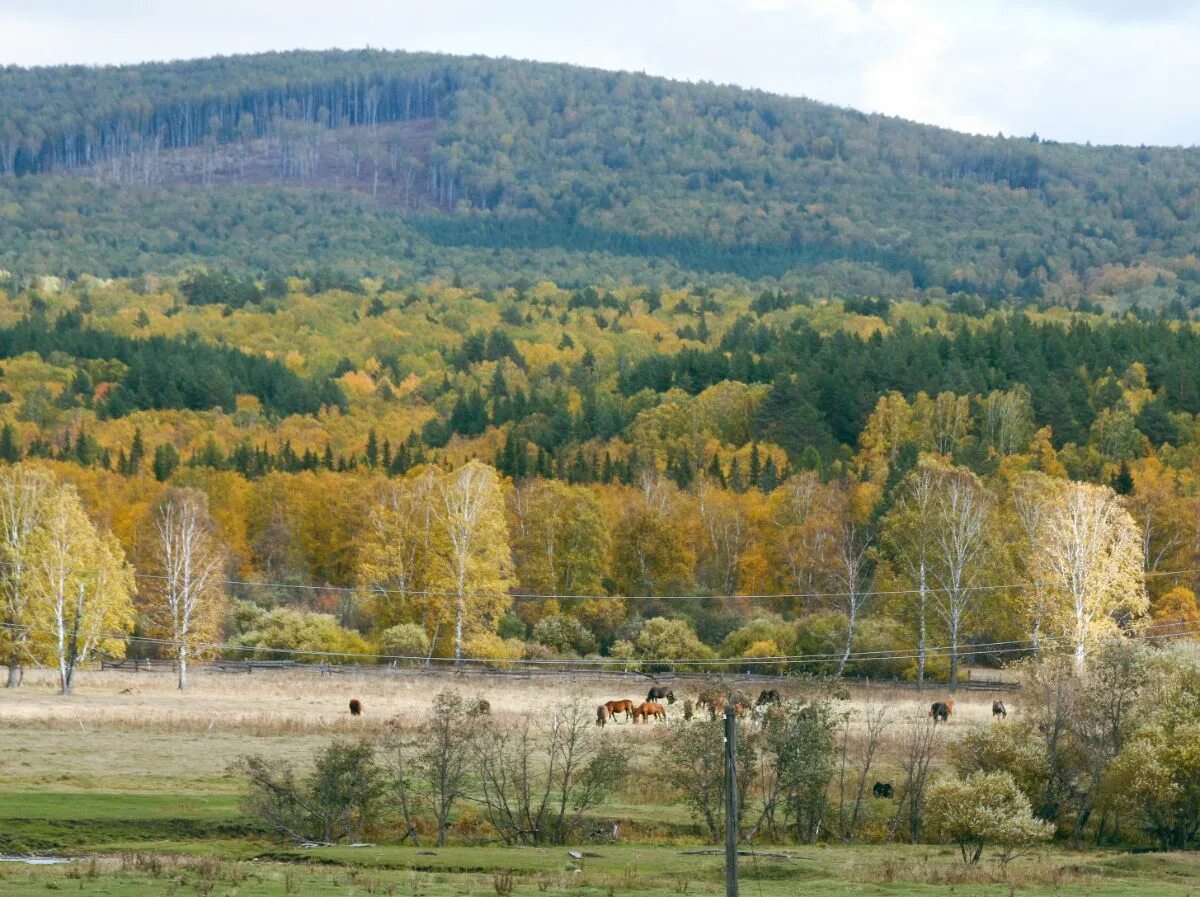 Д николаевка белорецкий район. Село тюлюк гора иремель. Николаевка башкортостан белорецк. Николаевка белорецкий. Белорецкий район башкортостан николаевка.