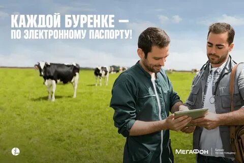 Ветеринары уральские