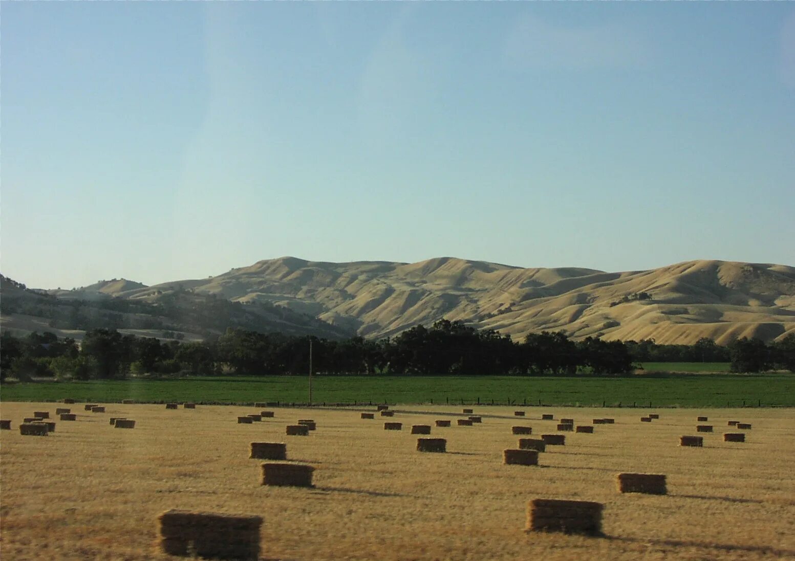 Fields first. Field california. fields 1. old fields california.