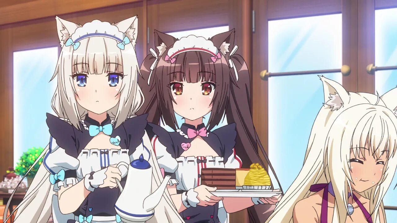 Ванилла некопара. Кошачий рай nekopara. Коконат некопара. Некопара. Кошачий рай русский.