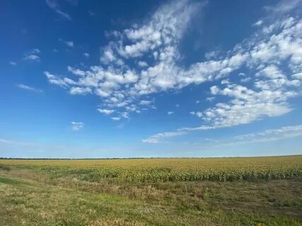 Погода солнечный саратовская область
