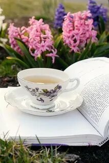 Книга утро