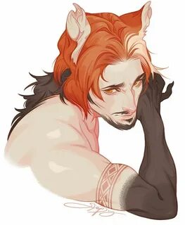Man fox
