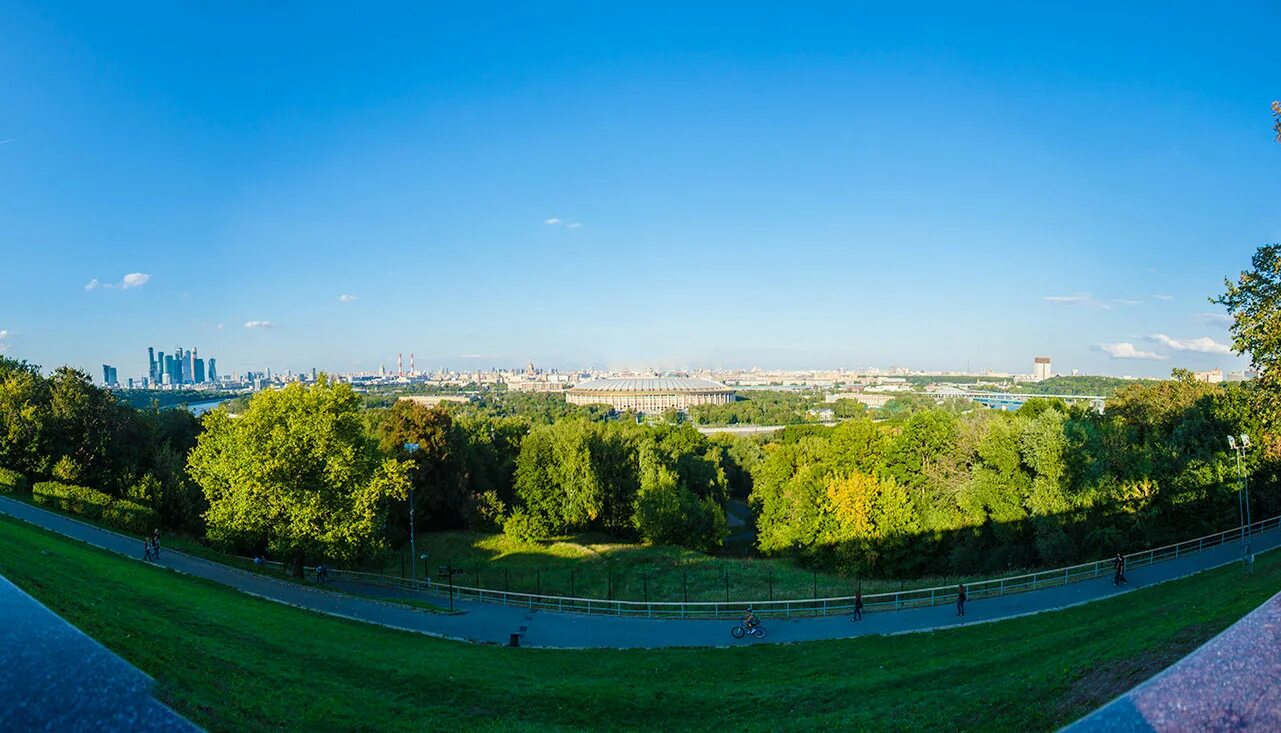 Парк мгу на воробьевых горах. Воробьевы горы спб. Воробьевы в москве воробьевы горы. Воробьёвы горы парк смотровая площадка. Смотровая площадка мгу воробьевы горы.