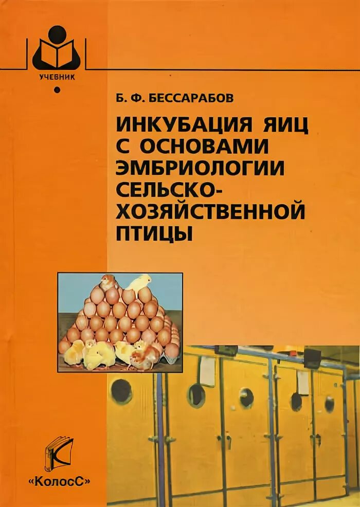 Инкубатор несушка на 24 яйца. Инкубация яиц птиц. Решетка для инкубатора для индюшиных яиц. Инкубация яиц птиц. Инкубатор для индюшиных яиц.