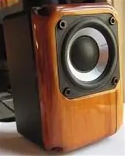 Speaker 5