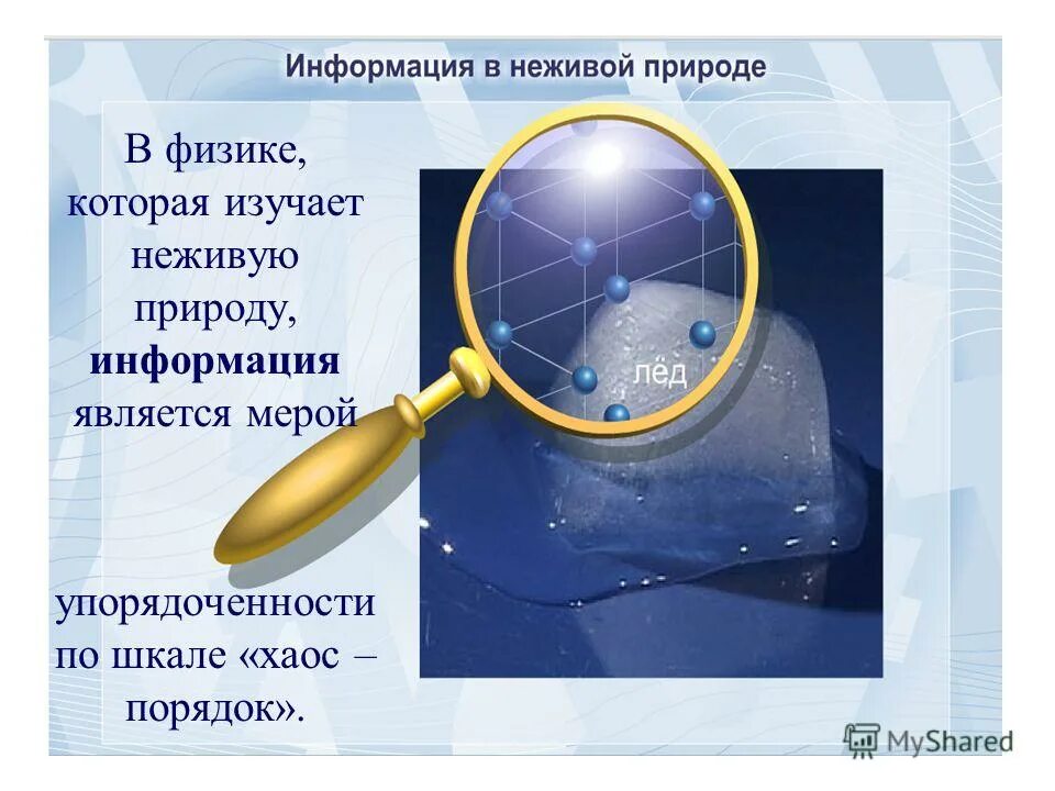 Физика изучает неживую природу. В физике которая изучает неживую природу информация является. Информационные процессы в неживой природе. Физика это наука. Процессы происходящие в неживой природе.