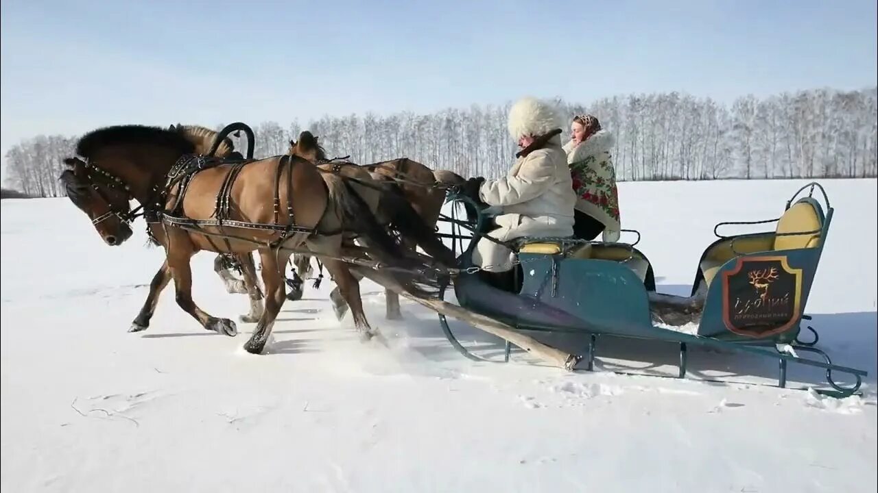 Колокольчик под дугой. Тройка с бубенцами. Тройка с колокольчиком под дугой. Бубенцы под дугой.