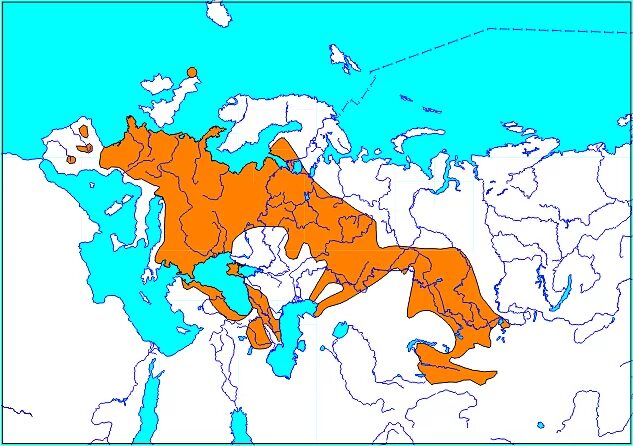 Ареал мышь. Австралия ареал. Ареал обитания зайцеобразных. Ареал мышь. Ореол обитания летучих мышей.