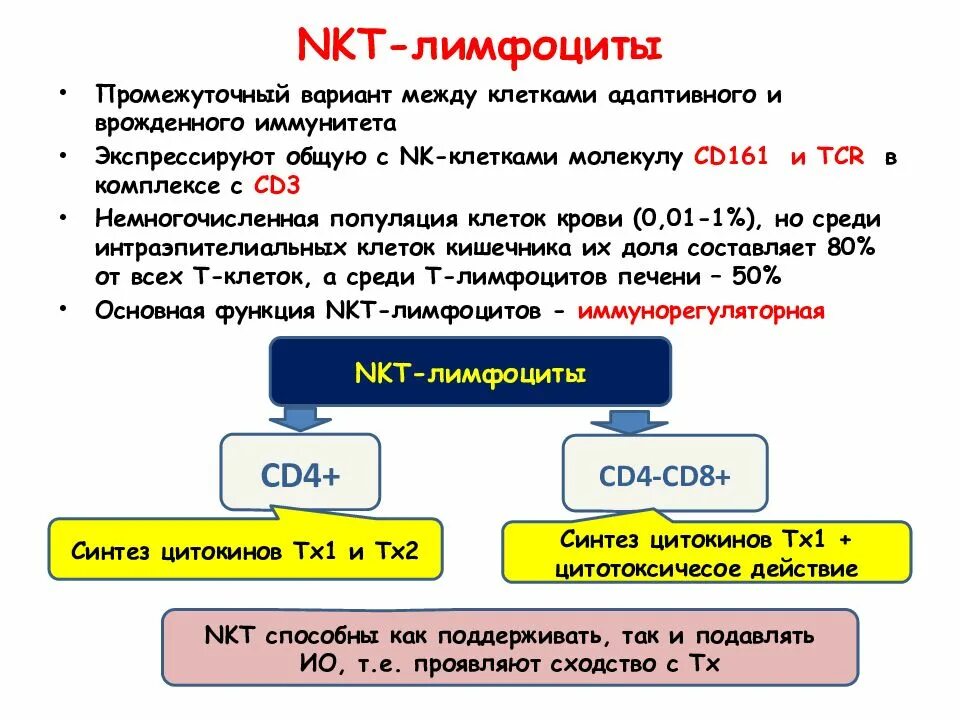 Промежуточный вариант между