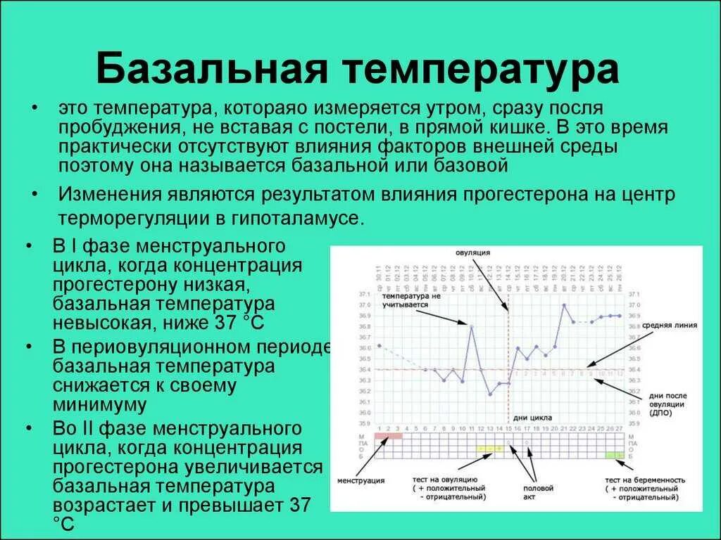 Измерение базальной температуры для определения овуляции. Измерение базальной температуры для определения овуляции график. Нормальный двухфазный график базальной температуры. Как составить график базальной температуры для определения овуляции. Температура перед овуляцией