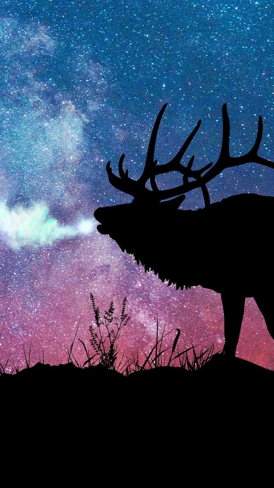 Олень голограмма. Star deer. Олень ночью. Олень ночью. Звездный олень.