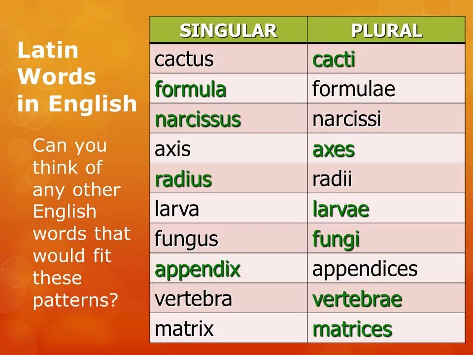 Difficult глагол. Latin Words in English plural. Latin plurals in English. Plural Nouns таблица. Singular and plural таблица.