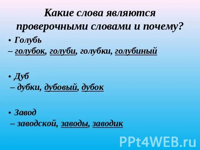 Корень слова сини. Голубь проверочное слово. Какие слова являются проверочными. Проверочное слово к слову голубь. Являются проверочное слово.