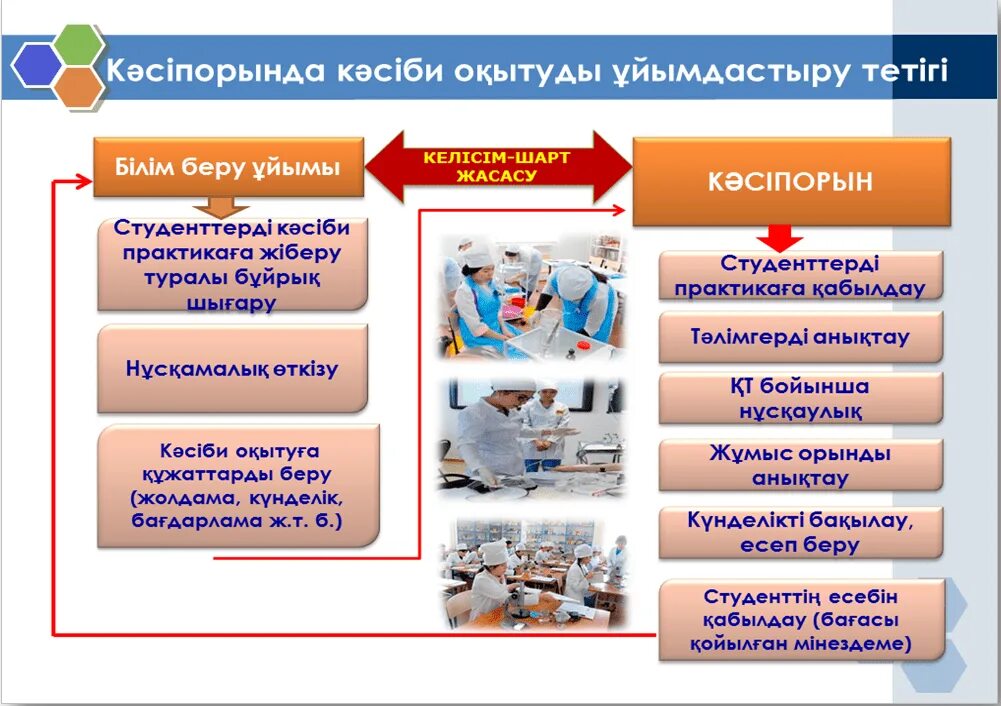 Білім беру ұйымдастыру. Кәсіптік бағдар беру презентация. Кәсіби бағдар беру презентация. Педогог-кәсіби багдар перевести. Кәсіби бағдар беру тренинг.