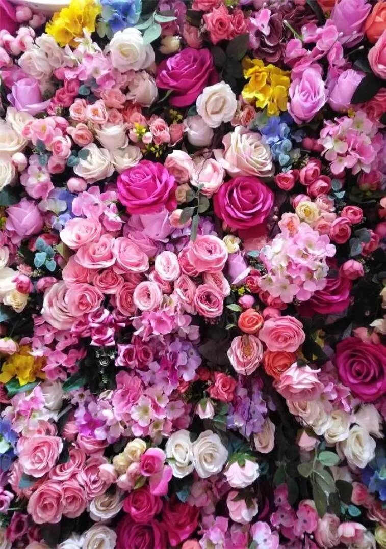 Цветы на телефон айфон. Красивые цветы. Цветы красиво. Цветочный фон. Очень красивые цветы.