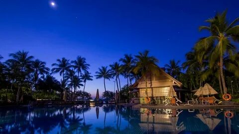 Island nights