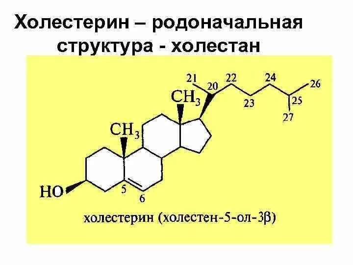 Формула холестерола. Холестерин формула структура. Формула холестерина с нумерацией. Родоначальная структура холестерина. Родоначальная структура стеринов.