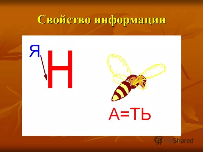 Информация про слово