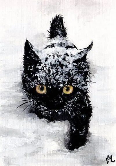 Гифки с няшными котятами Silly cats, Silly cats pictures, Cats and kittens