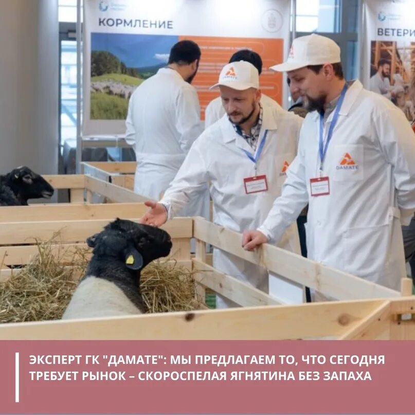 Damate нижний ломов. Агропромышленный комплекс дамате. Damate нижний ломов. Завод дамате в нижнем ломове. Дамате группа компаний.