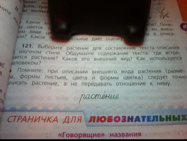Растение для составления текста описания в научном. Выбери растение для составления текста описания. выберите растение для составления текста-описания в научном. 121 выберите растение для составления текста описание в научном стиле. номер в описании текст.