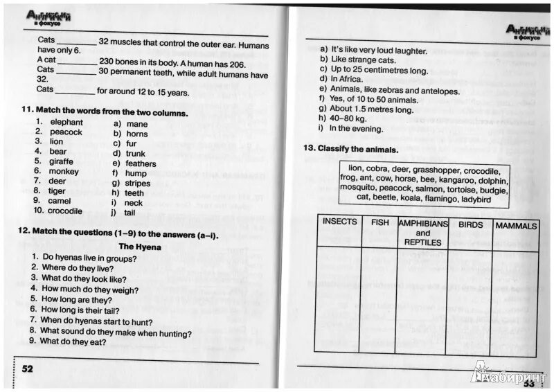 Сборник по английскому языку 5 класс ответы