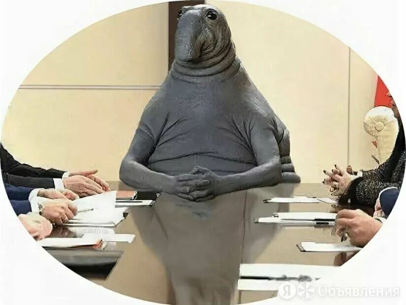 Форумы жду. Ждун в маске. Ждун в самолете. Табличка ждём тебя. Жду весну.