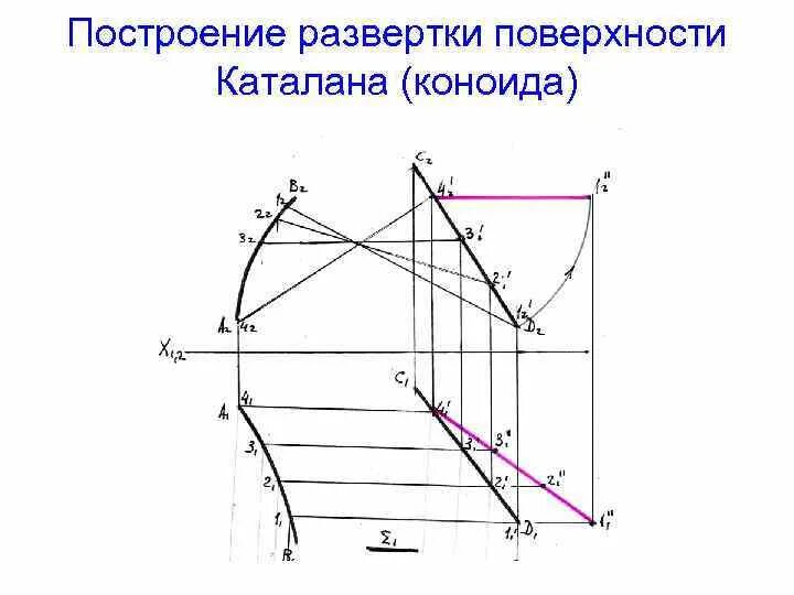 Коноид это. Построение коноида. Коноид Начертательная геометрия. Построение развертки. Цилиндроид Начертательная геометрия.