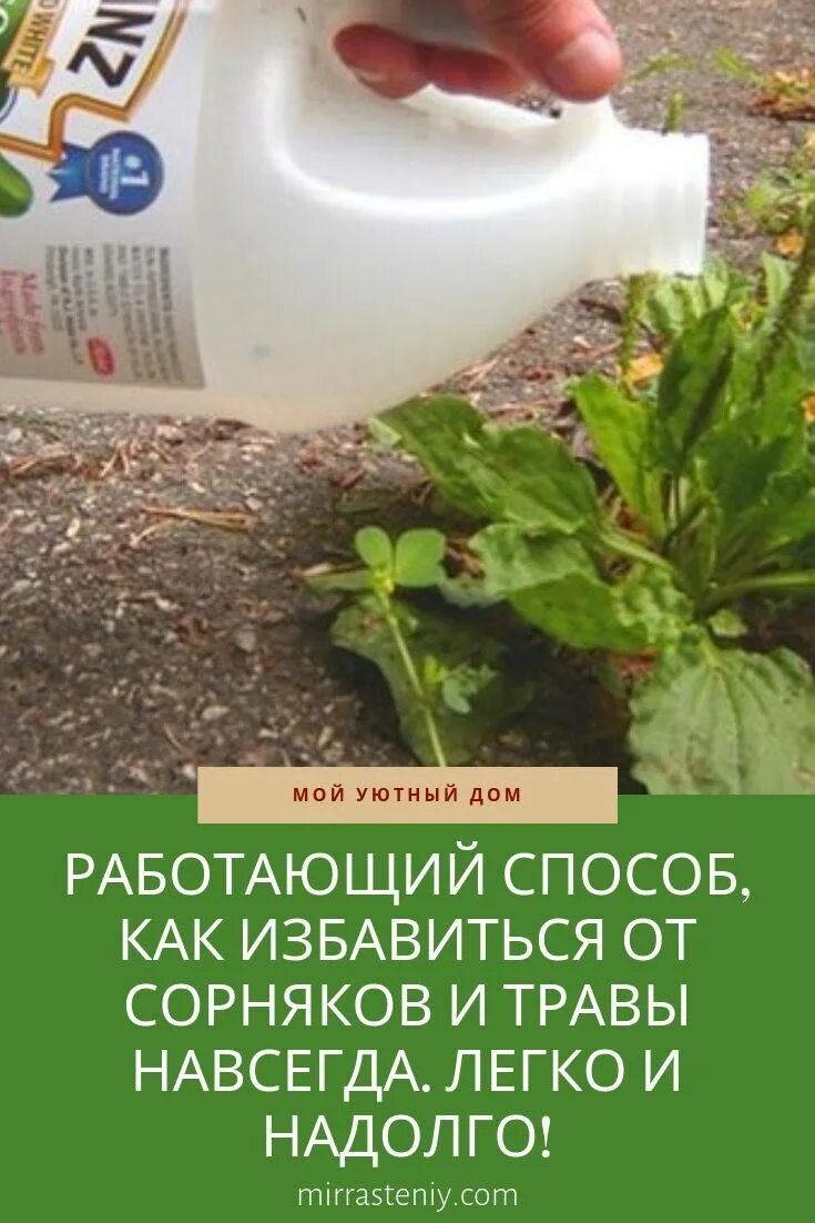 Препараты от сорняков на огороде. Эффективное средство от сорняков на огороде. Народные способы от сорняков. Раствор от травы и сорняков. Как избавиться от травы на участке навсегда