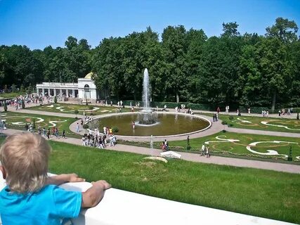 Из петербурга в петергоф самостоятельно