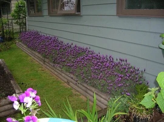 Image detail for -John Cowen Landscape Associates " John Cowen Landscape Fence l