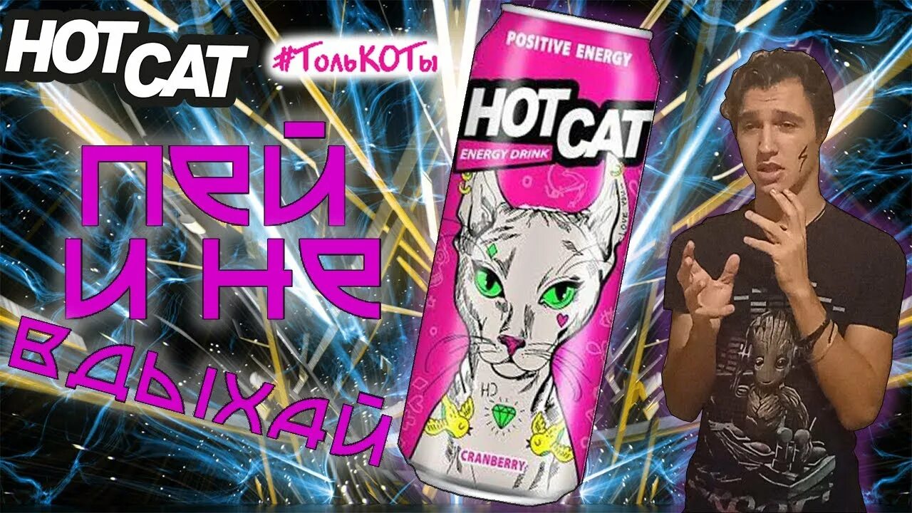Энергетик тест драйв. Хот кэт энергетик. hotcat энергетик вкусы. хот кэт энергетик фото. hotcat энергетик мультифрукт.
