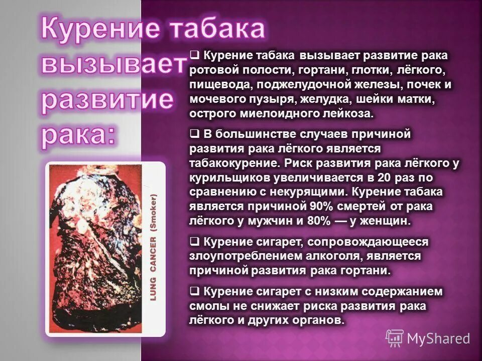Образование раковых опухолей у курильщиков вызывает. Табакокурение болезни. Образование раковой опухоли у курильщиков вызывает. Что вызывает образование раковых опухолей у курильщиков. Что вызывает образование раковых опухолей у курильщиков.