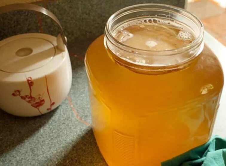 Kombucha cream