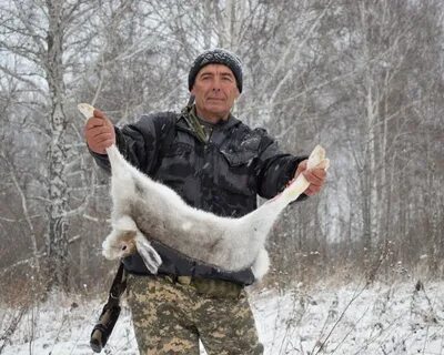 На скатерти снегов охотники