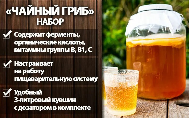 Чайный гриб при диабете 2. Чайный гриб полезные. Чайный гриб как правильно заваривать. Можно ли чайный гриб диабетикам. Чем полезен чайный гри.