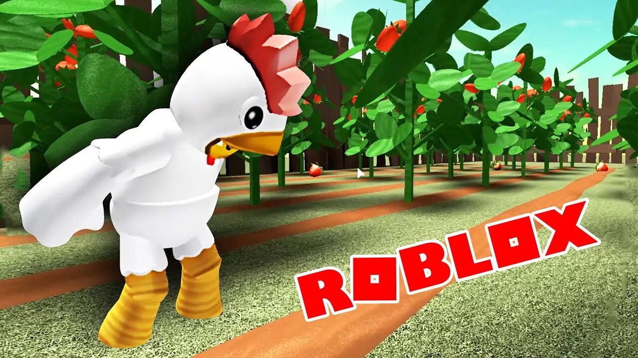 Chicken roblox. Курица из РОБЛОКСА. Кур РОБЛОКС. Курочка РОБЛОКС. Курица в РОБЛОКСЕ.