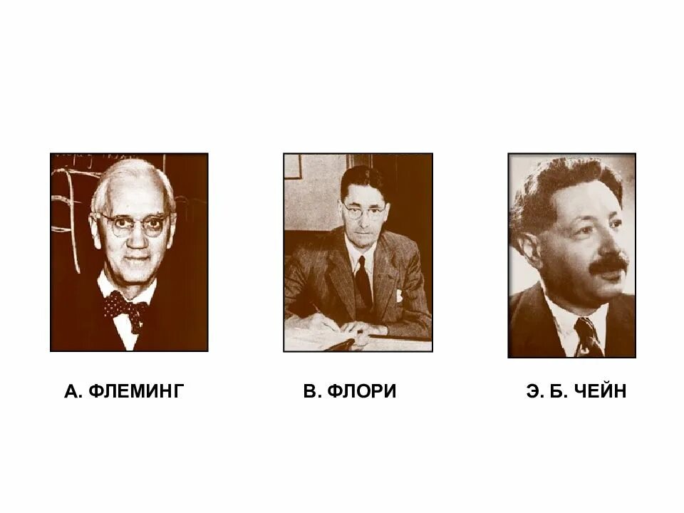 Говард флори и эрнст чейн. Говард флори и эрнст чейн. Флори история. Эрнст чейн пенициллин. Хоуард флори.