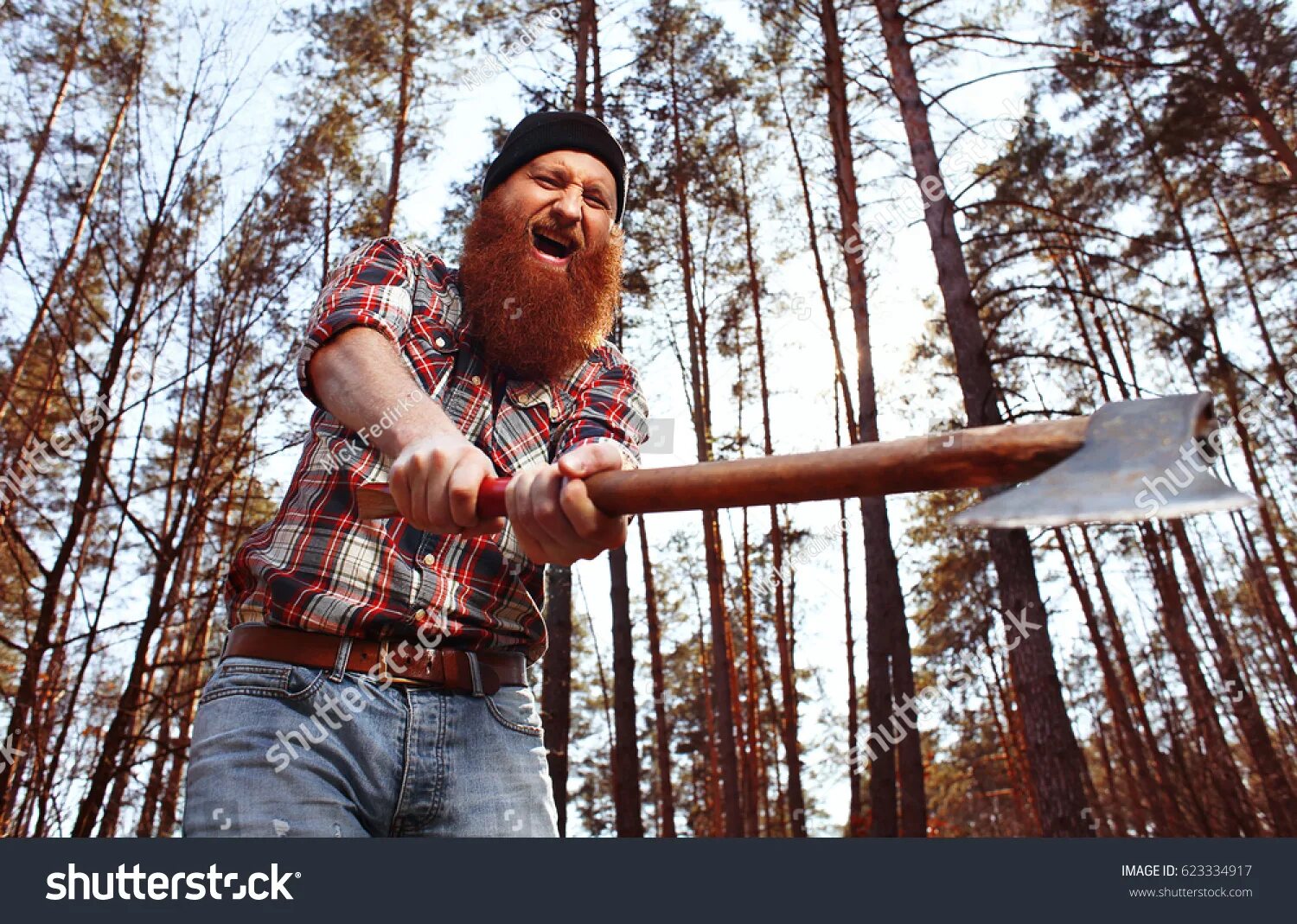 Его работу губит дровосек. Канадский дровосек стиль. Его работу губит дровосек. Животное в вырубленном лесу. Его работу губит дровосек.